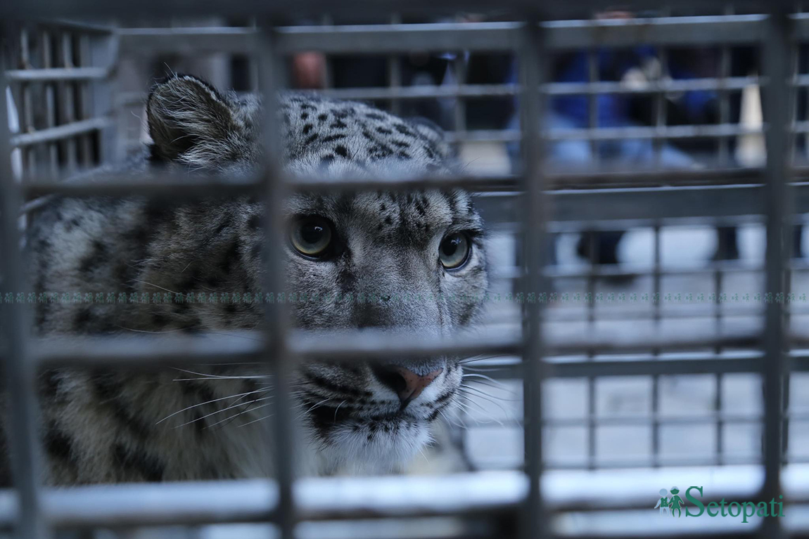 आजका तस्बिर- माघ १२