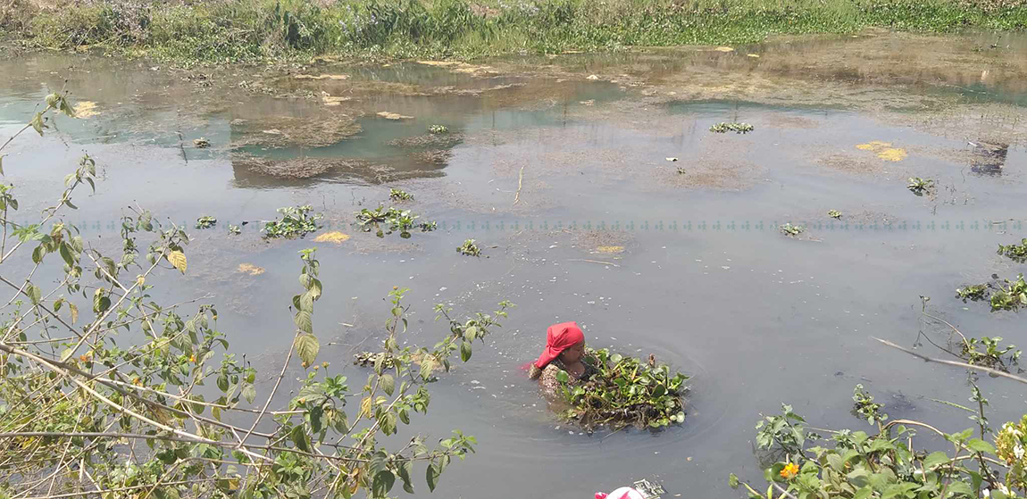 आजका तस्बिर- चैत २४