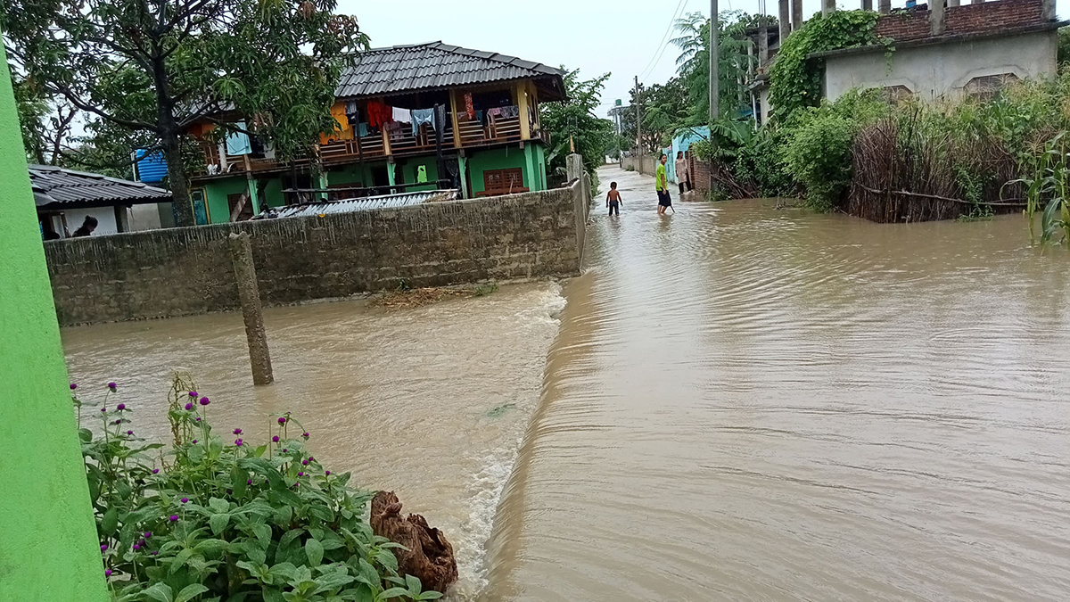 अविरल वर्षाका कारण महोत्तरीको बर्दिबास नगरपालिका क्षेत्रमा मङ्गलबार डुबानमा परेको बस्ती। तस्बिर: गोपालप्रसाद बराल/रासस