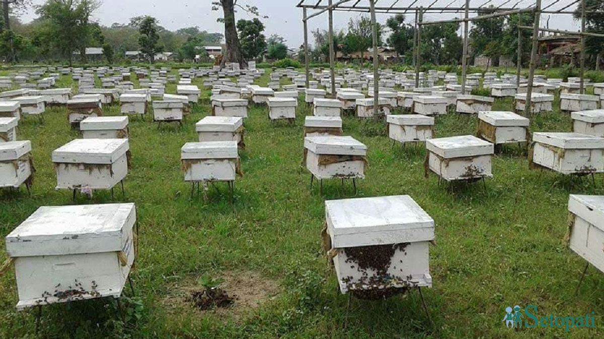 फाइल तस्बिर