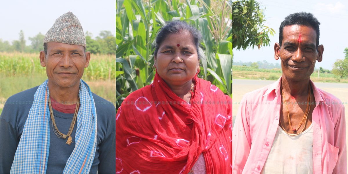 बायाँबाट क्रमशः फलाराम थारू, उमा विष्ट र रामलखन थारू। तस्बिरः नारायण खड्का/सेतोपाटी