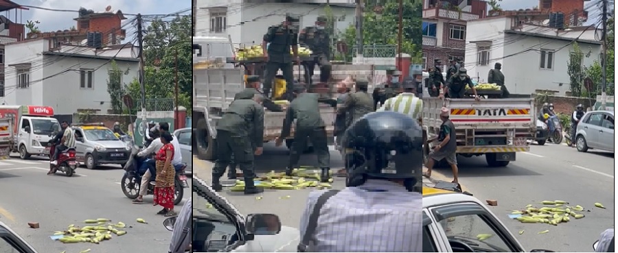 तस्बिरः सृष्टि काफ्ले