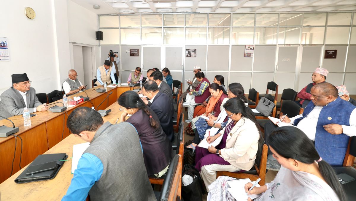 maobadi-samsadiye-dal3-1714802396.jpg