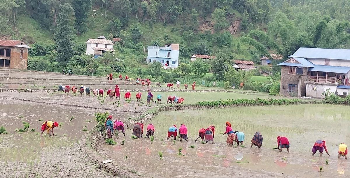 meghnath-aryal1-1753543427.jpeg