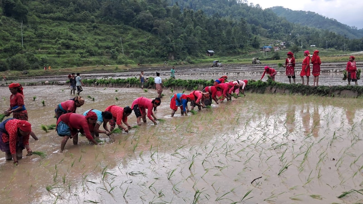 meghnath-aryal2-1753543427.jpeg
