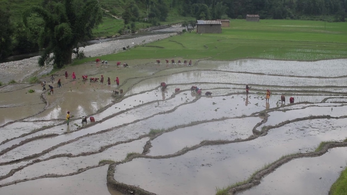 meghnath-aryal3-1753543427.jpeg