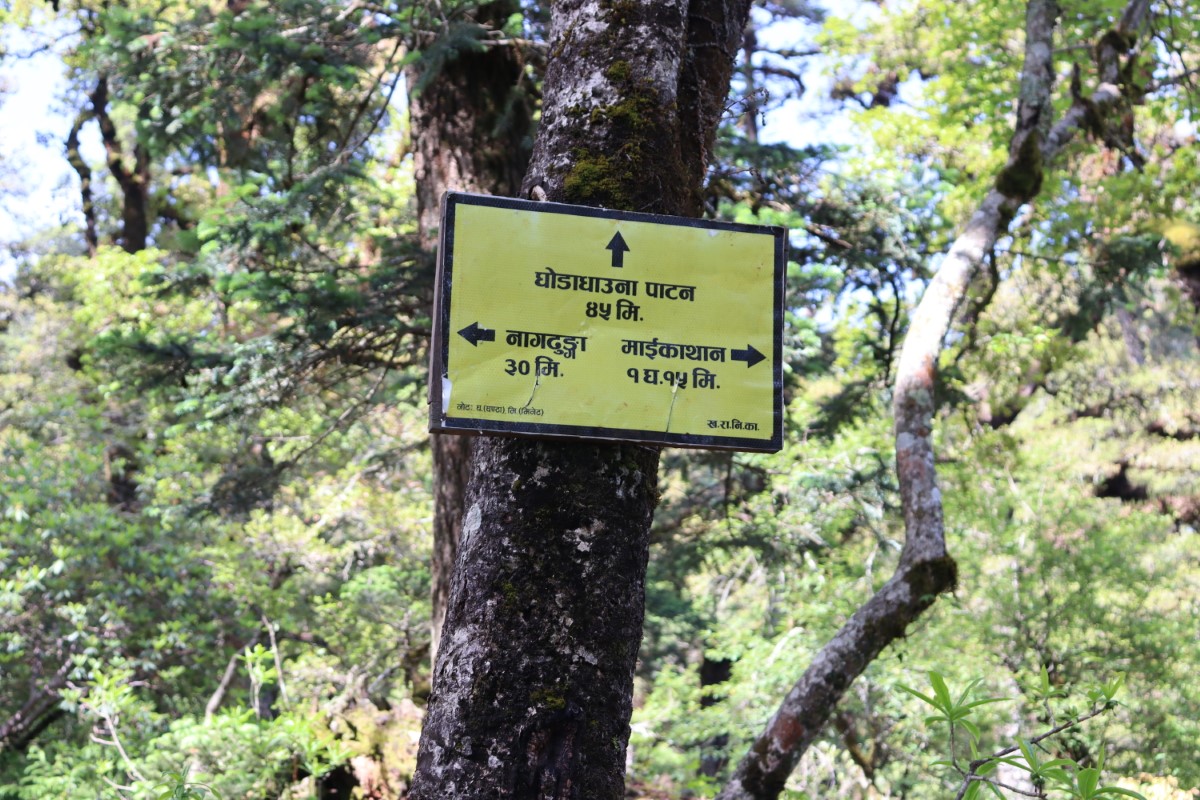 mile-board-1750497673.JPG