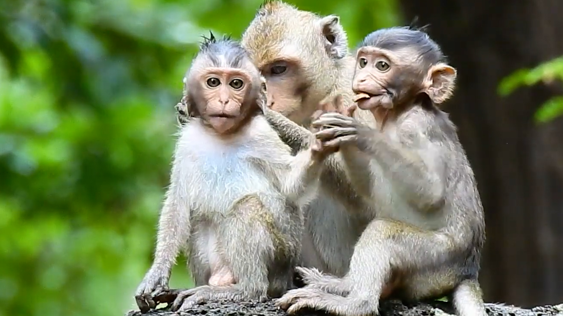 फाइल तस्बिर।