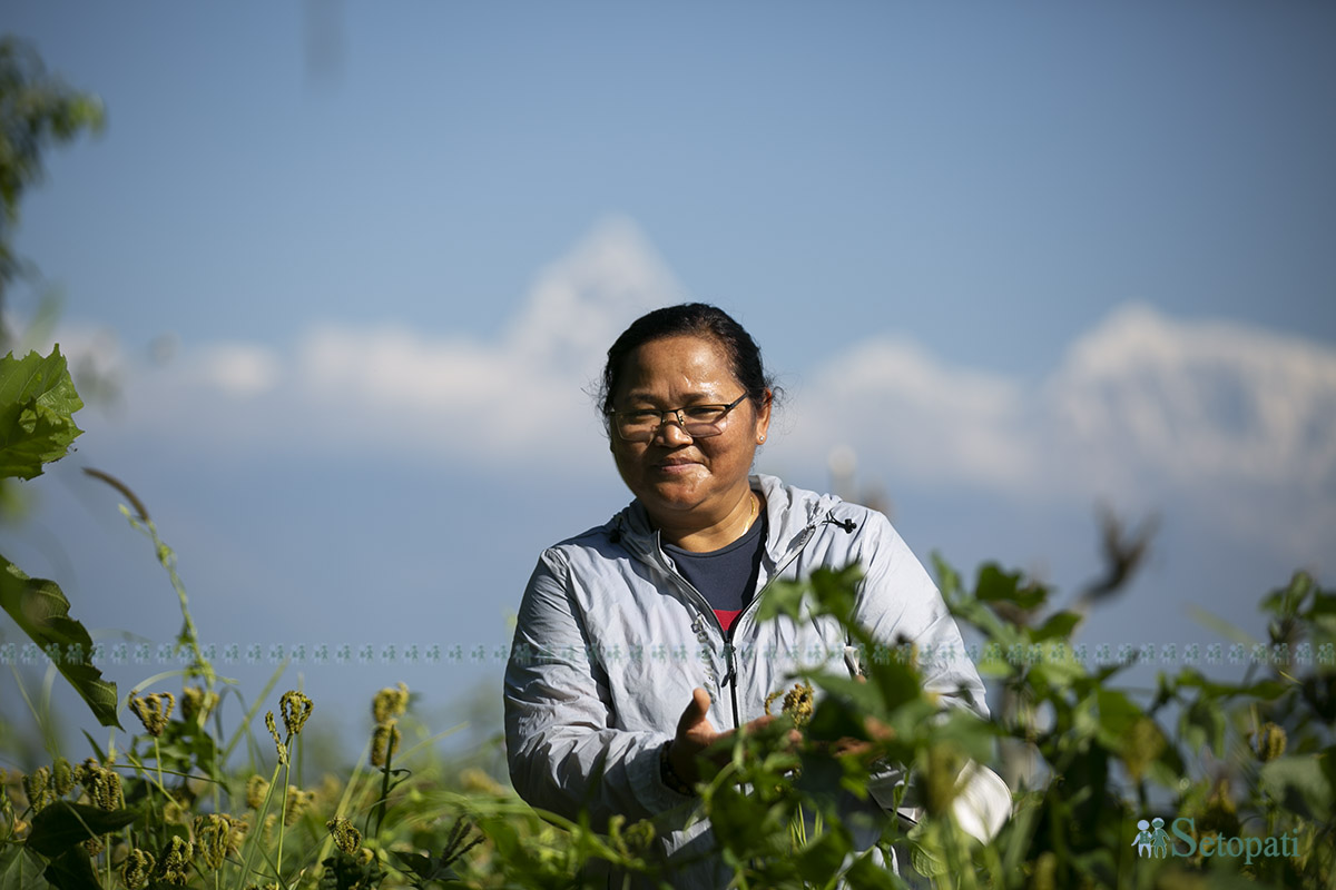 mountain-of-nepal--(45)-1760771620.jpg