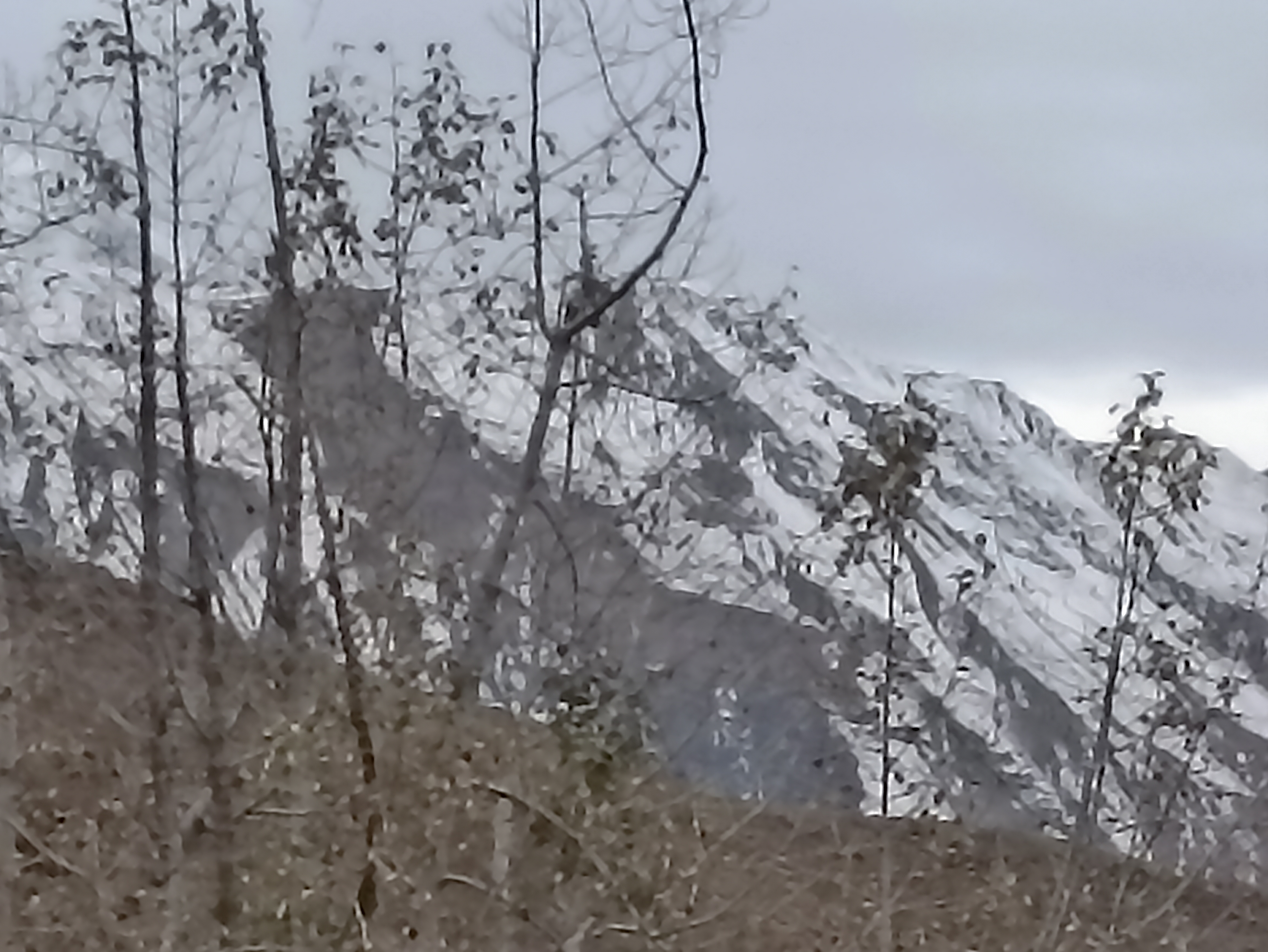 muktinath-(5)-1704535084.jpg