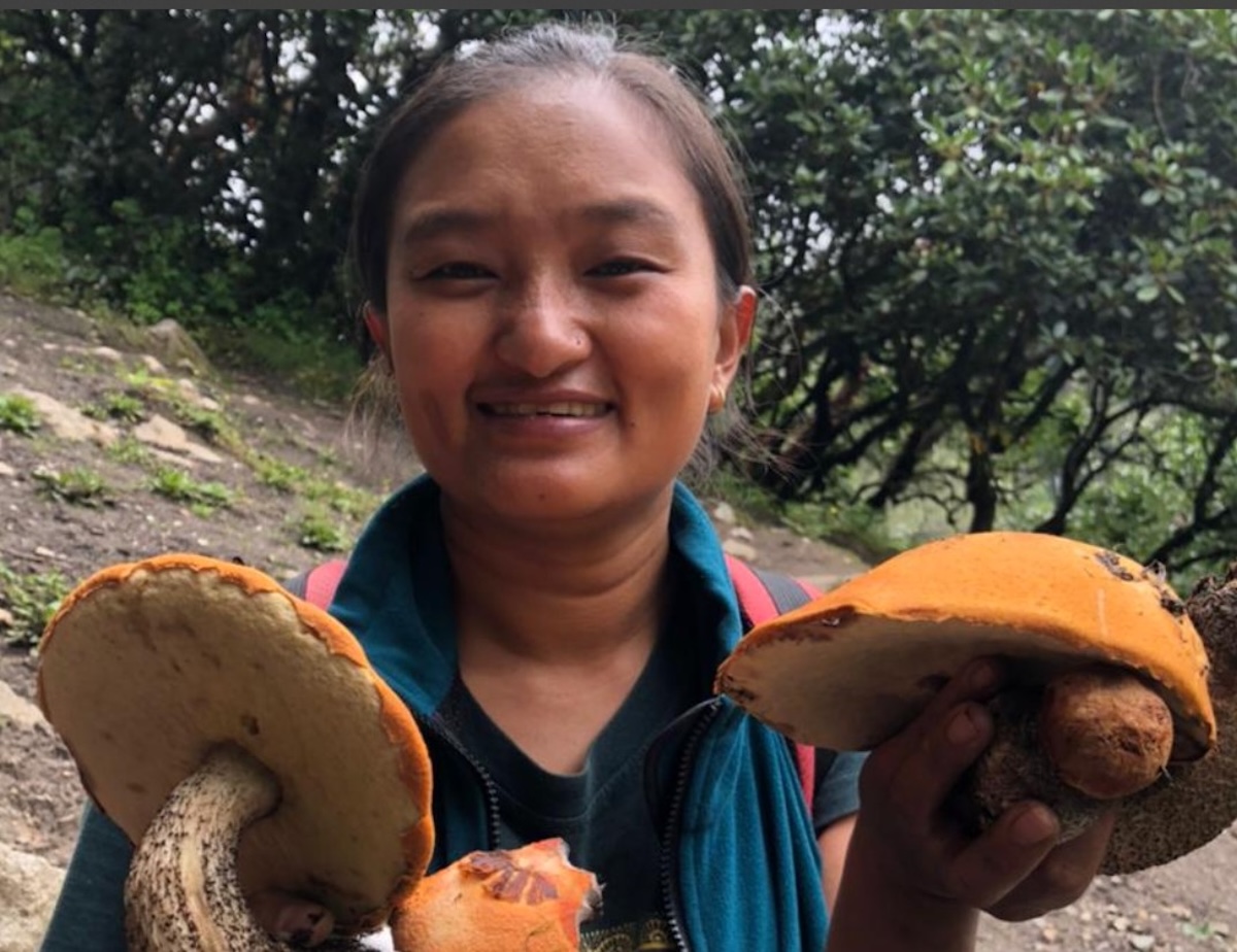 mushroom-by-Surendra-Phuyal1-1756665340.jpg