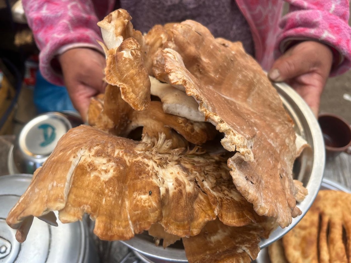 mushroom-by-Surendra-Phuyal3-1756665313.jpg
