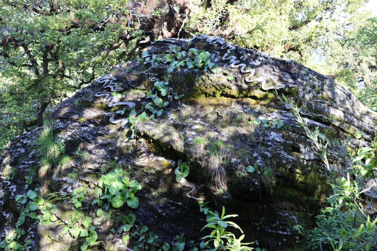 nagdhunga-1750497671.JPG