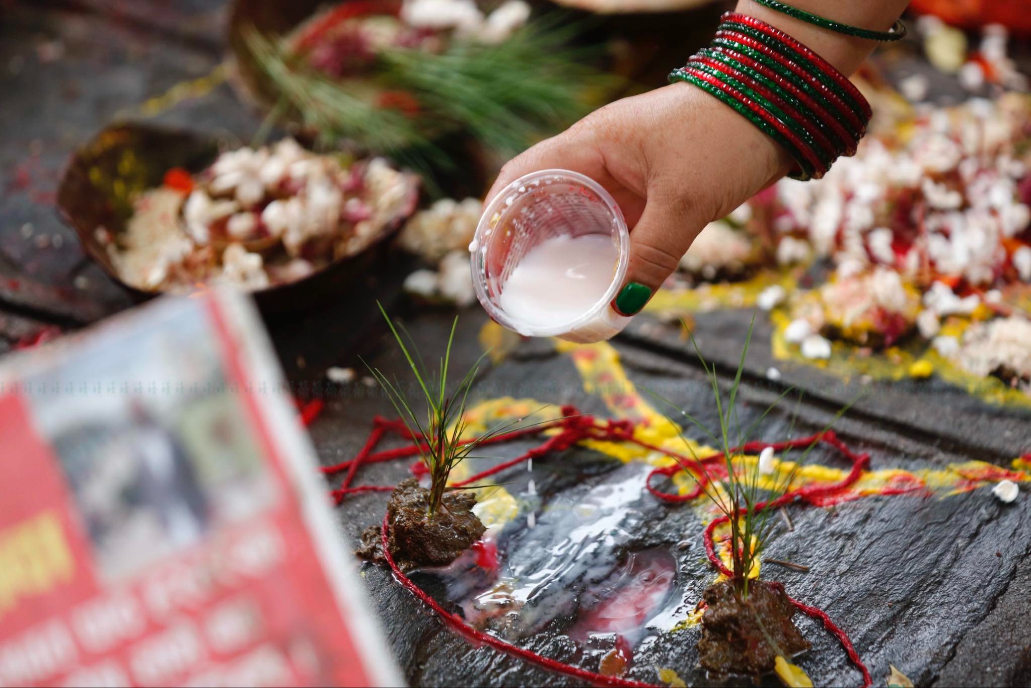 nagpanchami-(3)-1753756208.jpeg