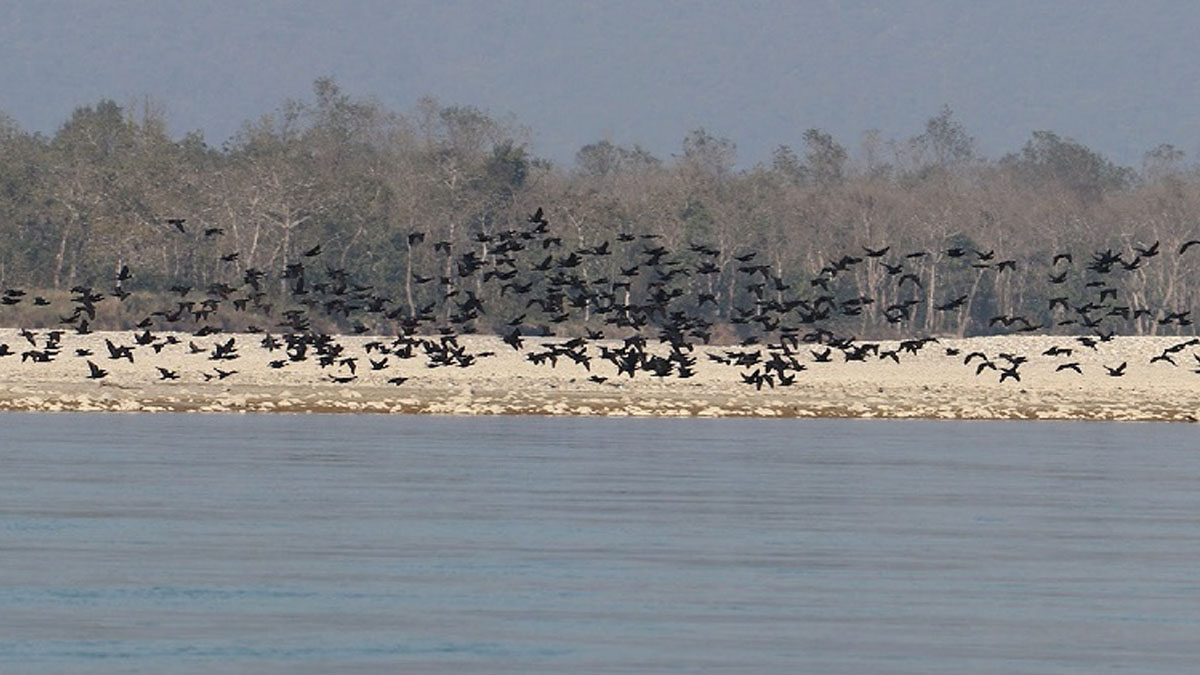 फाइल तस्बिर