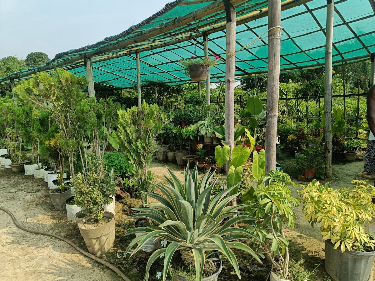 nursery2-1783443304.jpeg