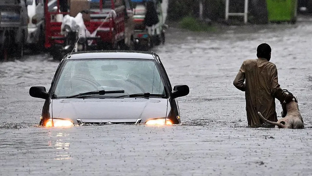 तस्बिरः बिबिसी।