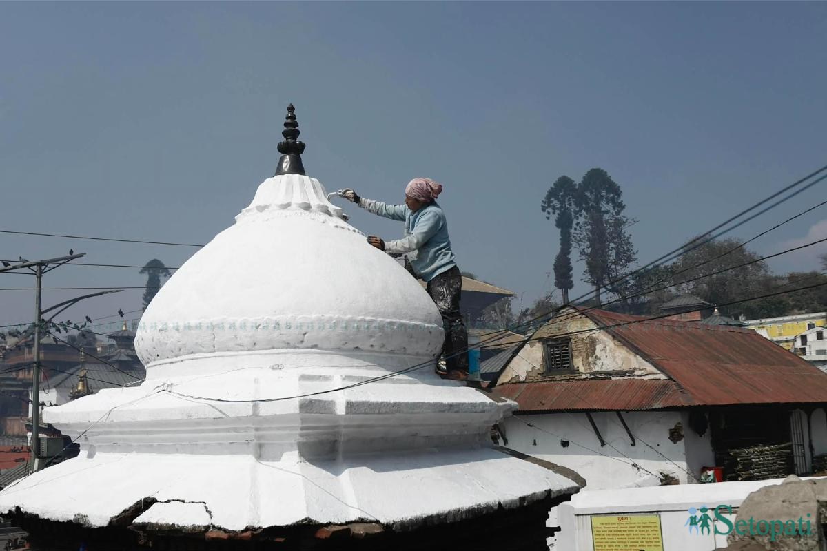 pashupati-(22)-ink-1770796384.jpeg