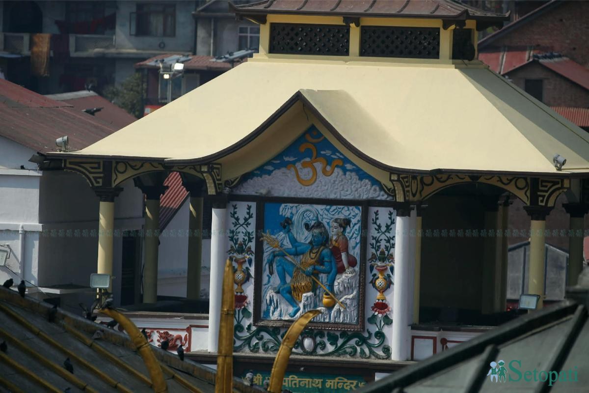 pashupati-(24)-ink-1770796385.jpeg