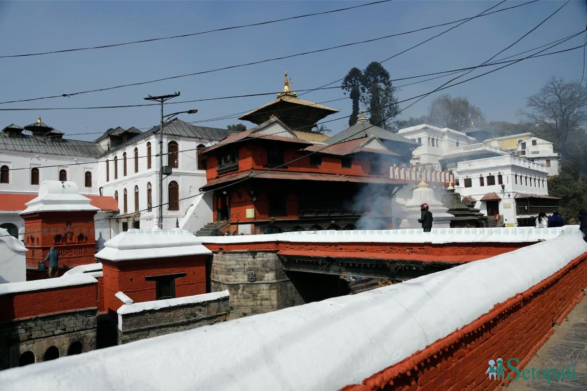 pashupati-(5)-ink-1770796380.jpeg