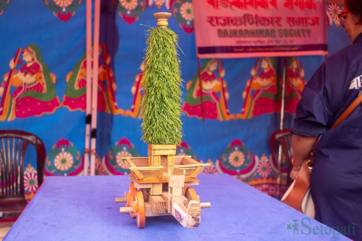 patan-newa-mahotsav-(9)-1780042181.jpg