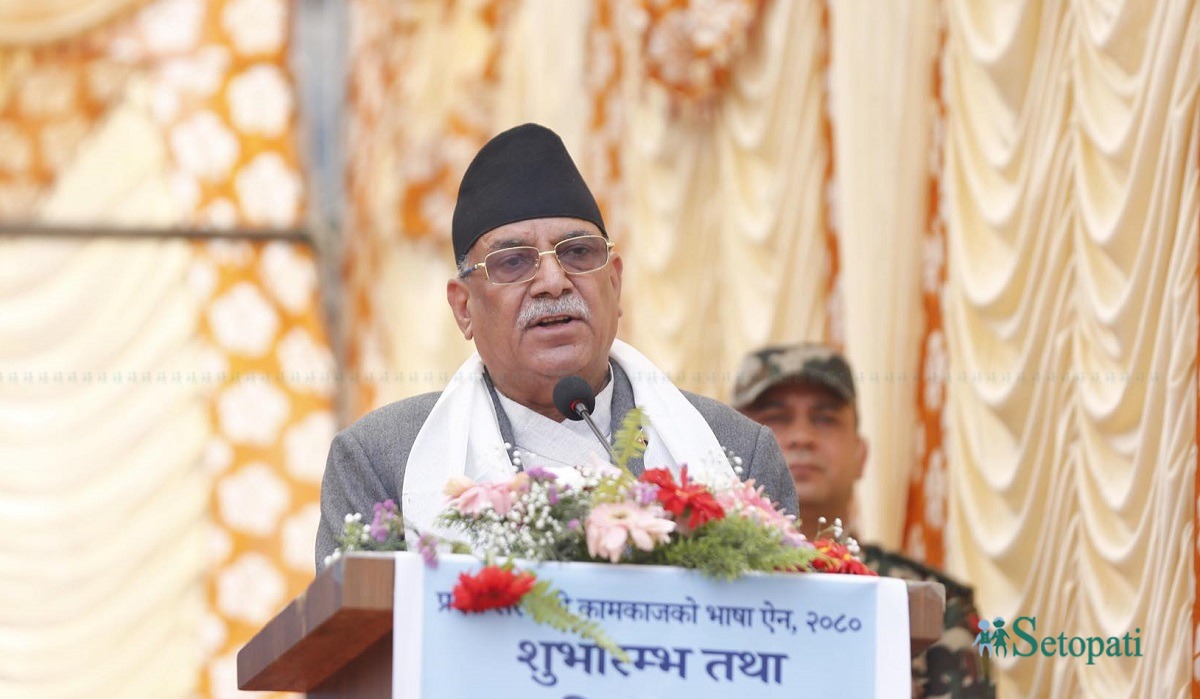 तस्बिर: नवीनबाबु गुरूङ/सेतोपाटी।