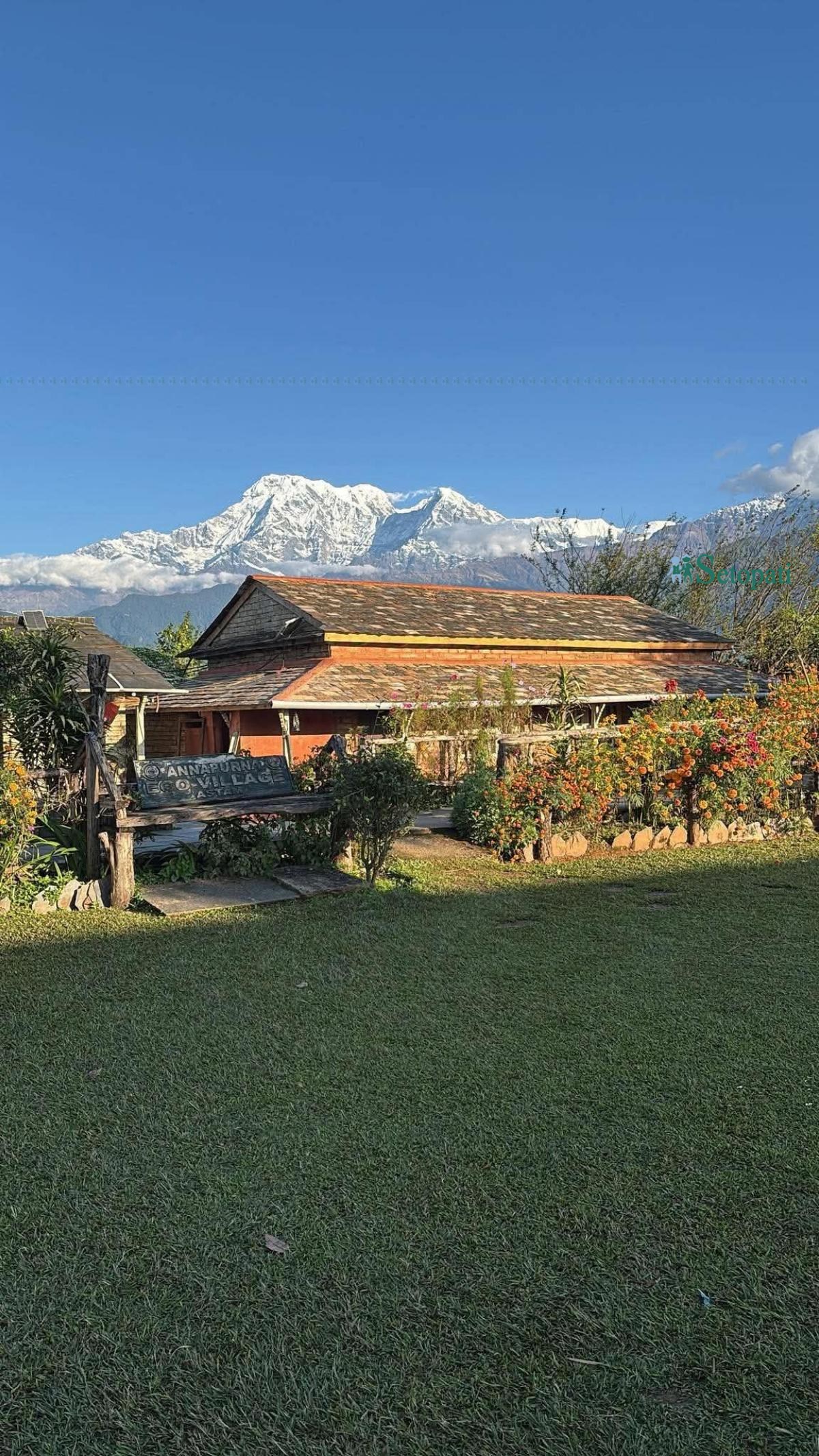 pm-resort-(6)-ink-1787300861.jpeg