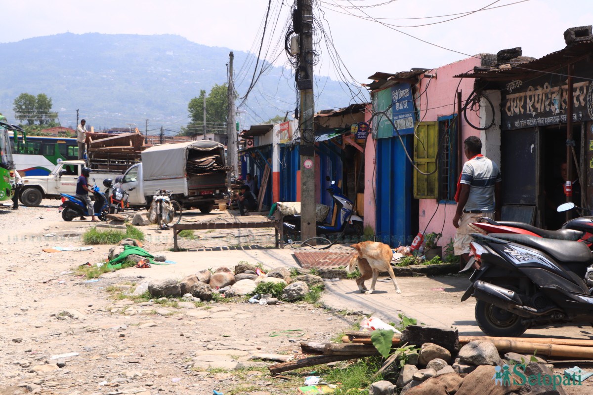 pokhara-buspark-sukumbashi-(5)-ink-1780795286.jpeg