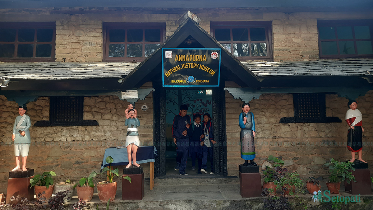 pokhara-sangrahalaya-(7)-1705810784.jpg