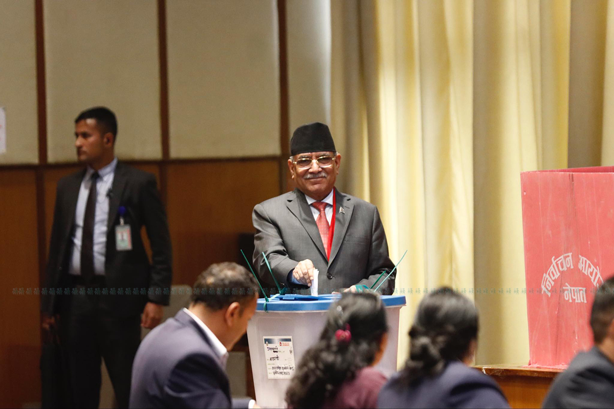 तस्बिर: नवीनबाबु गुरूङ