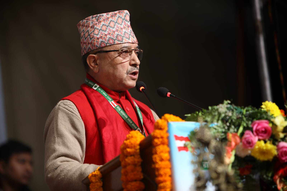 तस्बिर: दिनेशविक्रम शाह