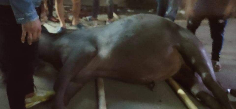 प्रतीकात्मक तस्बिर