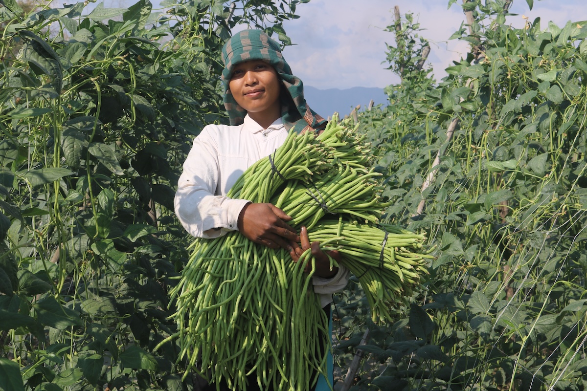 raju-thapa-farming6-1776707450.JPG