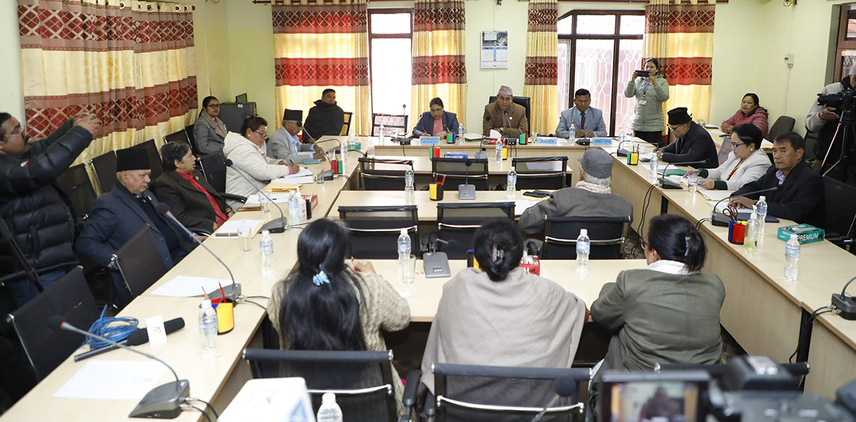 राज्य व्यवस्था तथा सुशासन समितिको बैठक। फाइल तस्बिर।