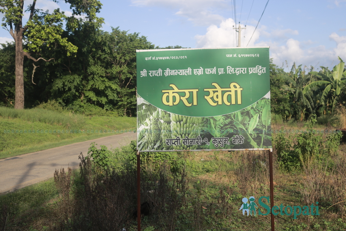 rapti-green-valley5-1753900509.jpg