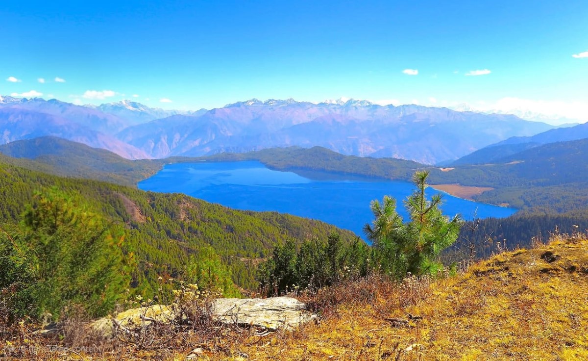 rara-3-1749897826.jpg