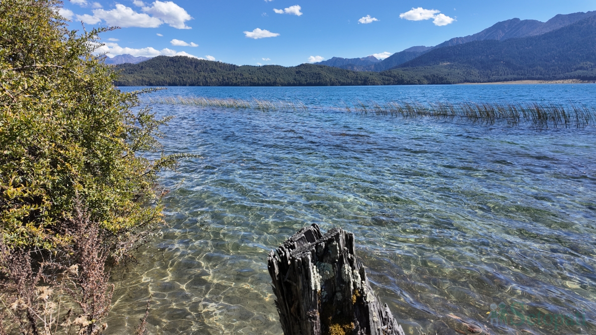 rara-lekh-(2)-1793432149.jpg