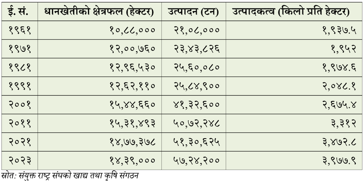 rice-paddy-imp-export-1750354893.png