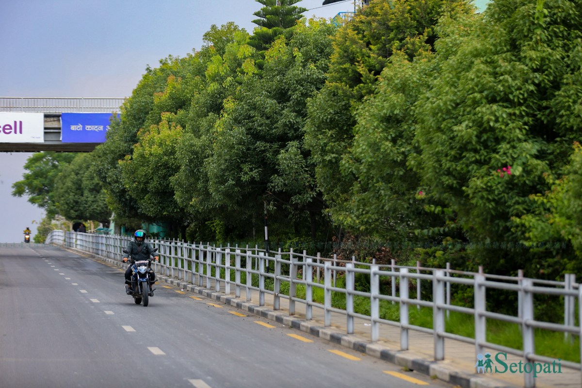 ringroad-greenary-(10)-1782791586.jpeg