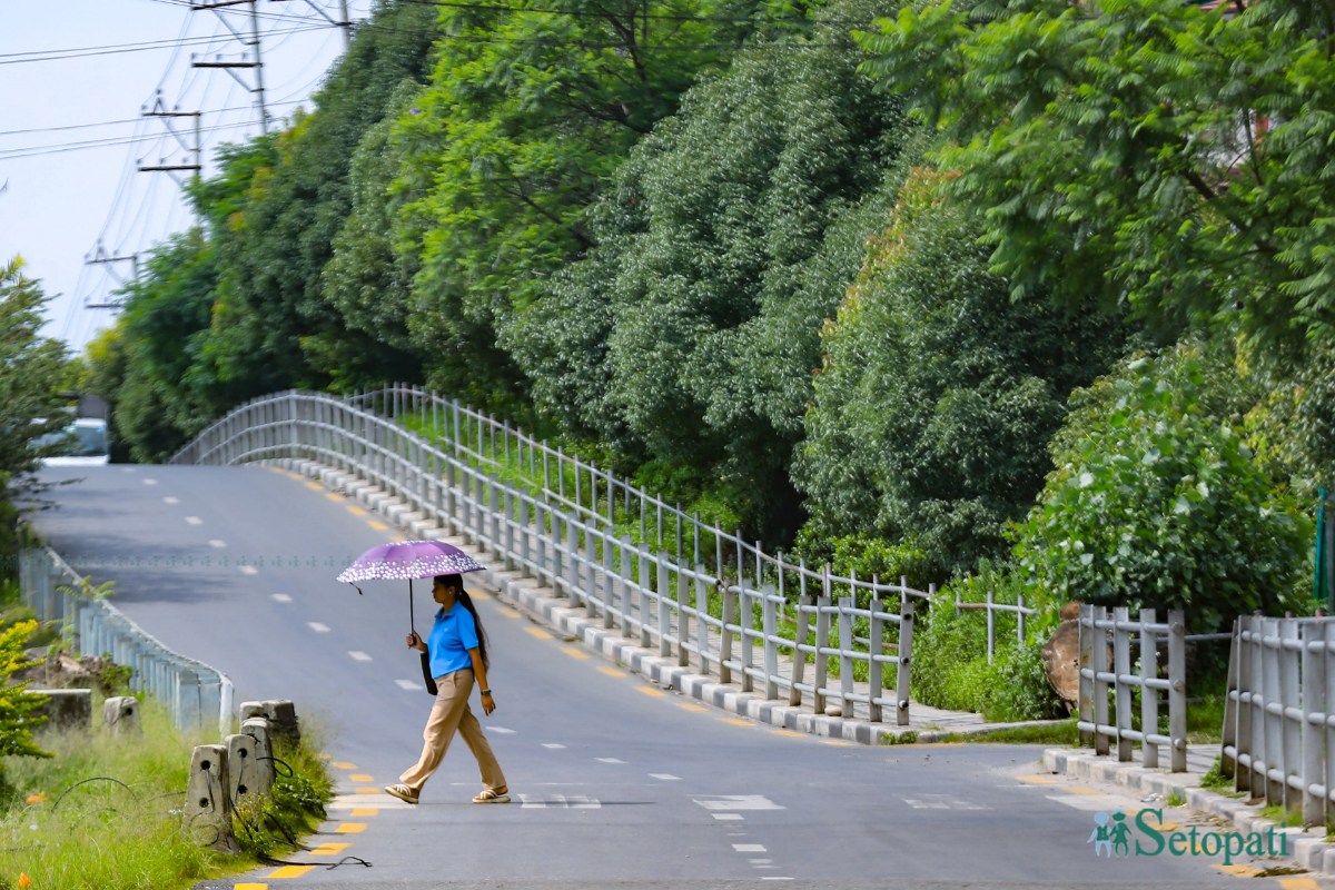 ringroad-greenary-(11)-1782791587.jpeg