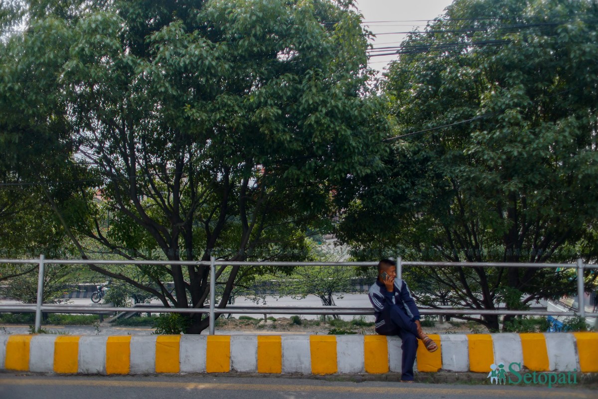 ringroad-greenary-(15)-1782791588.jpeg