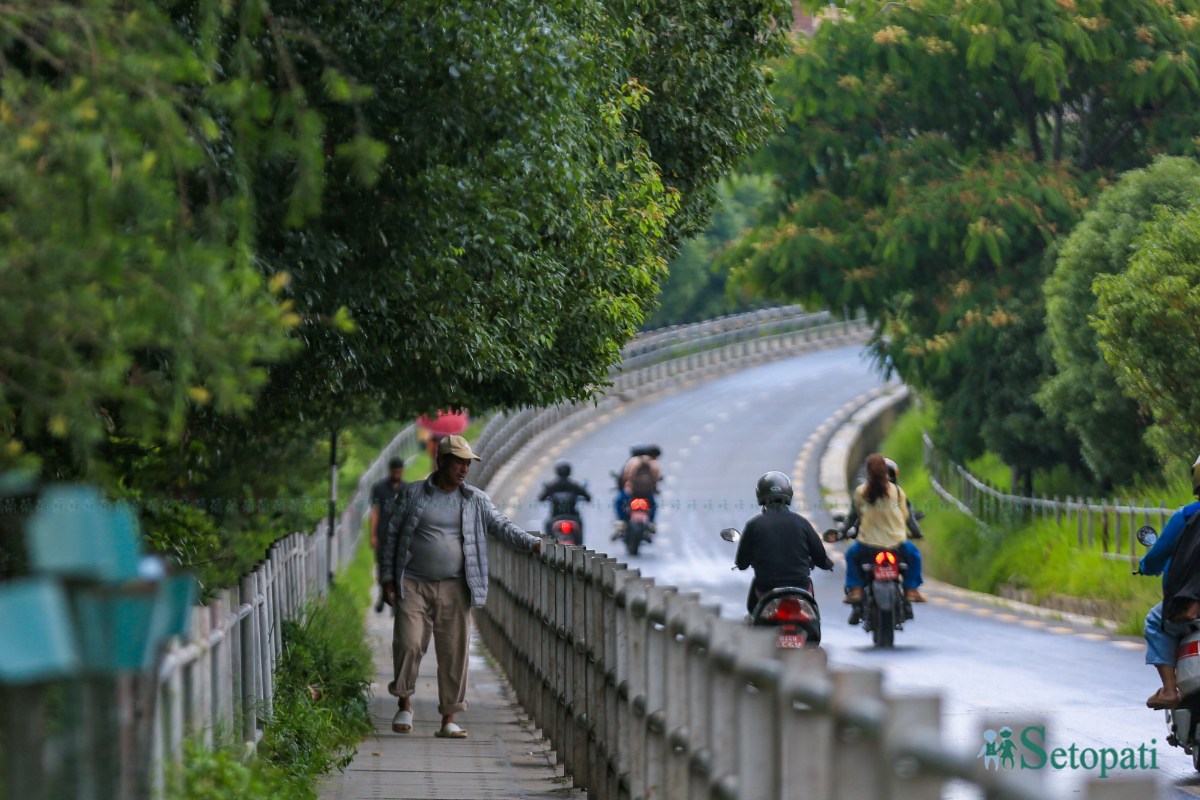 ringroad-greenary-(3)-1782791585.jpeg