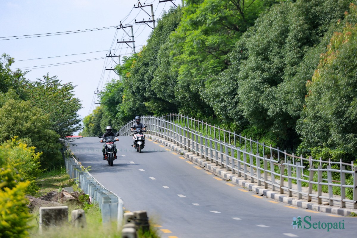 ringroad-greenary-(6)-1782791585.jpeg