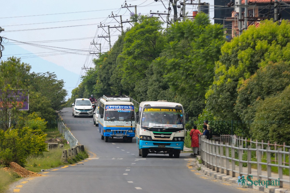 ringroad-greenary-(7)-1782791586.jpeg