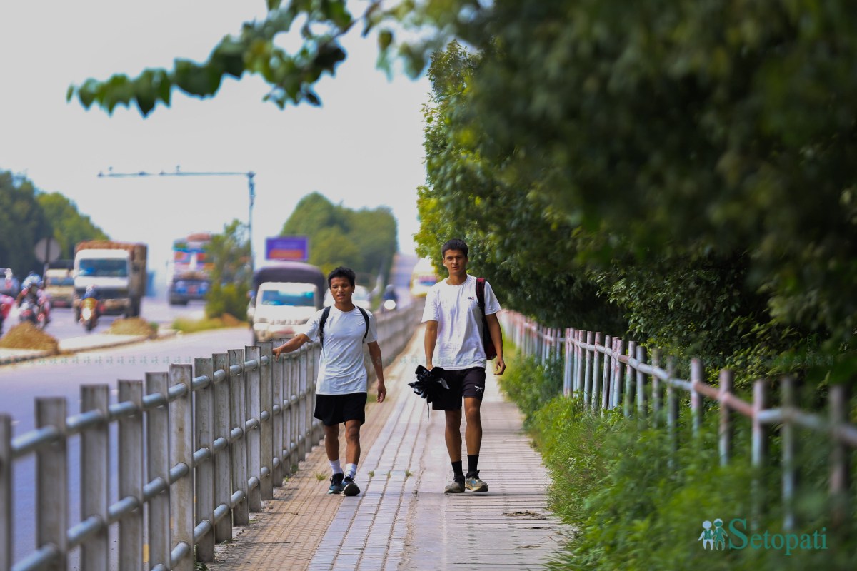 ringroad-greenary-(8)-1782791586.jpeg