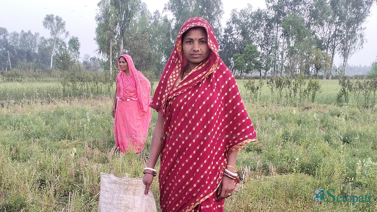 'पैसा हुँदा त खाली रसगुल्लै खान मन लाग्छ नि!'