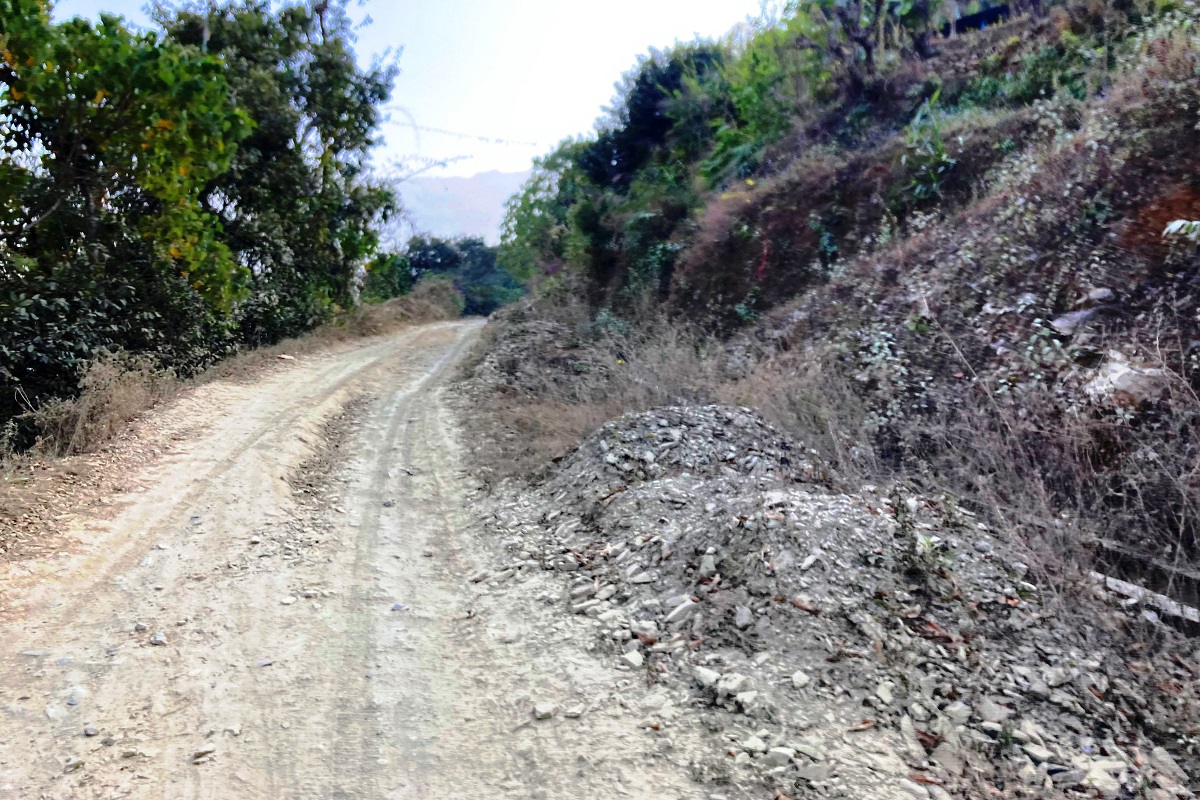फाइल तस्बिर