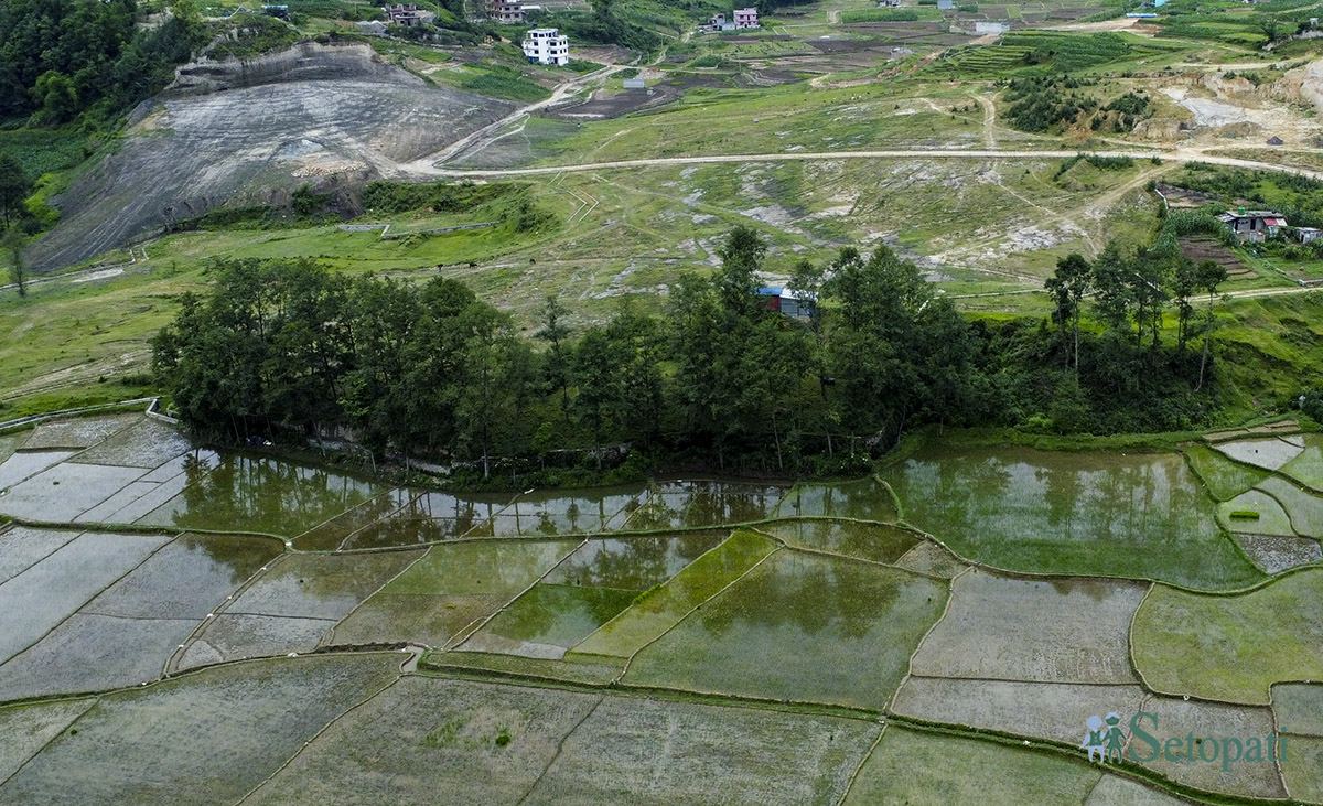 ropai-godawari-(11)-1719637807.jpg
