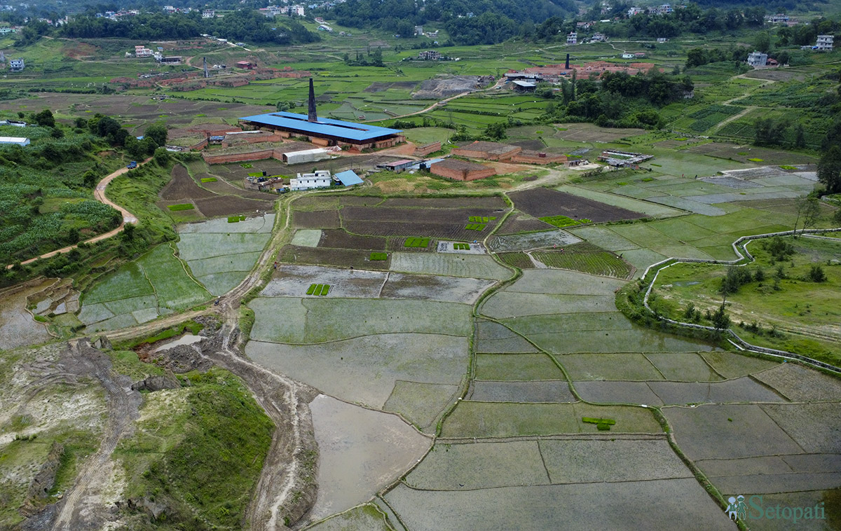 ropai-godawari-(16)-1719637808.jpg