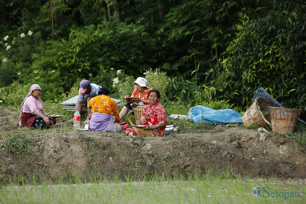 ropai-godawari-(7)-1719637806.jpg